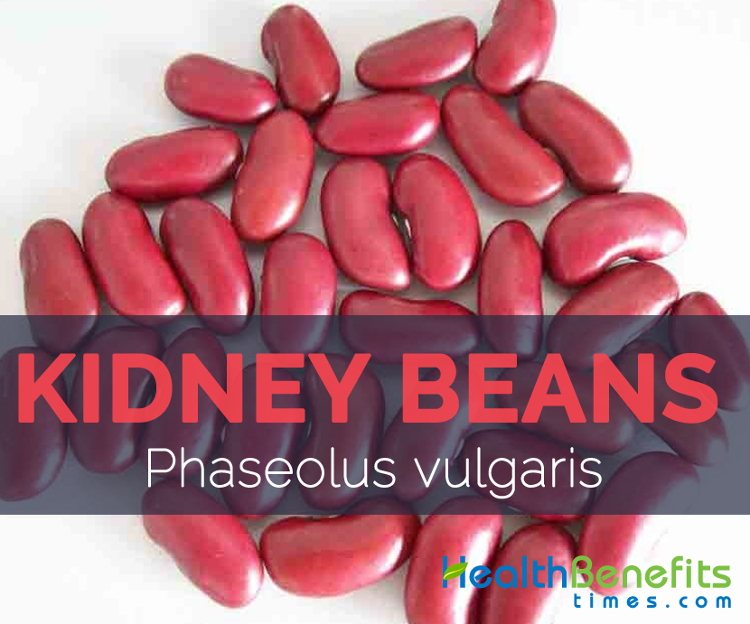 Detail Why Are Kidney Beans Called Kidney Beans Nomer 12