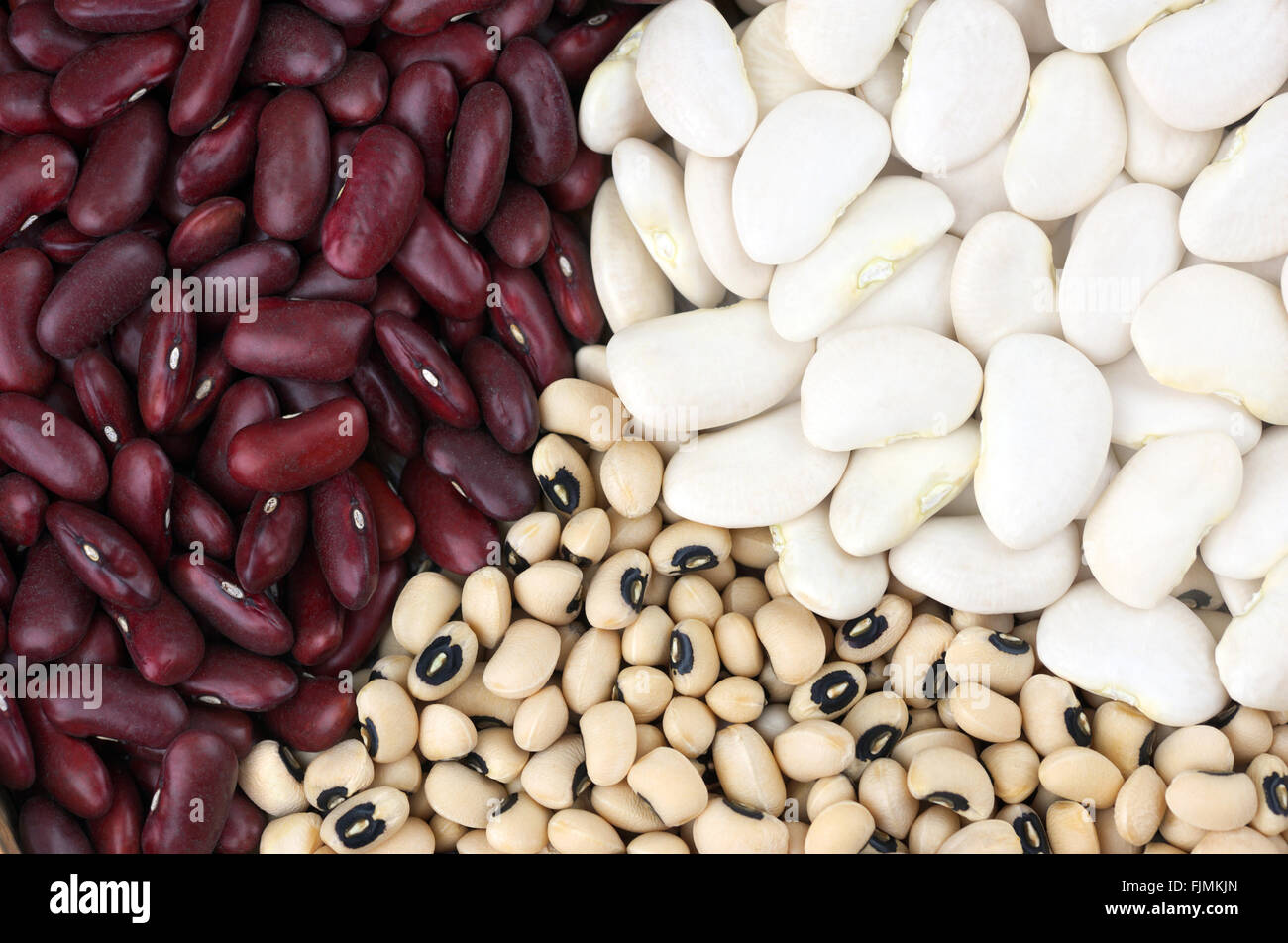 Detail Why Are Kidney Beans Called Kidney Beans Nomer 24