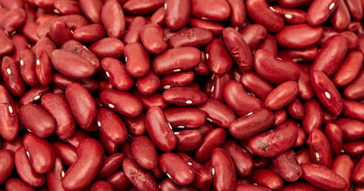 Detail Why Are Kidney Beans Called Kidney Beans Nomer 4