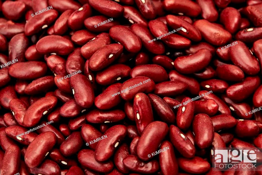 Detail Why Are Kidney Beans Called Kidney Beans Nomer 37