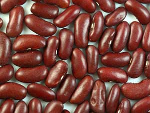 Detail Why Are Kidney Beans Called Kidney Beans Nomer 48