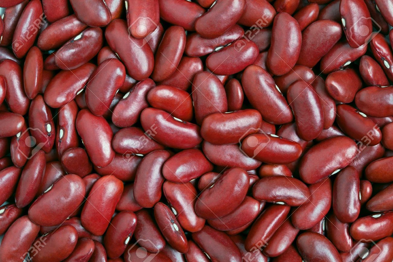 Detail Why Are Kidney Beans Called Kidney Beans Nomer 51