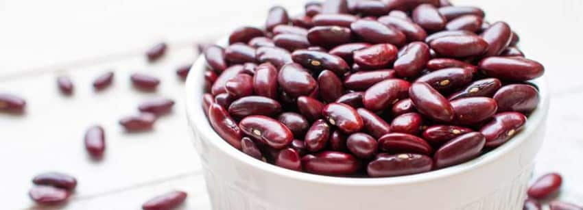 Detail Why Are Kidney Beans Called Kidney Beans Nomer 53