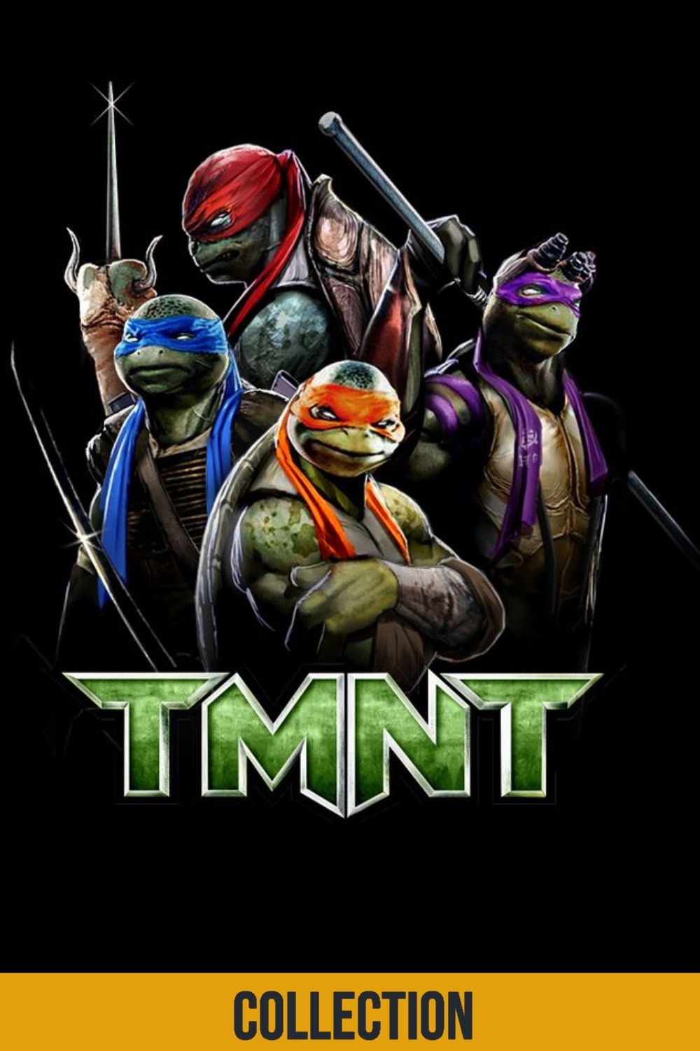 Detail Why Are The Ninja Turtles Named After Artists Nomer 25