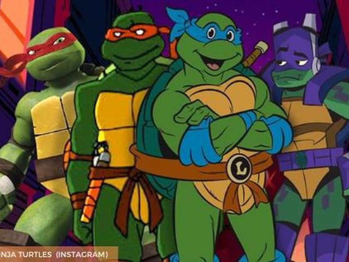 Detail Why Are The Ninja Turtles Named After Artists Nomer 33