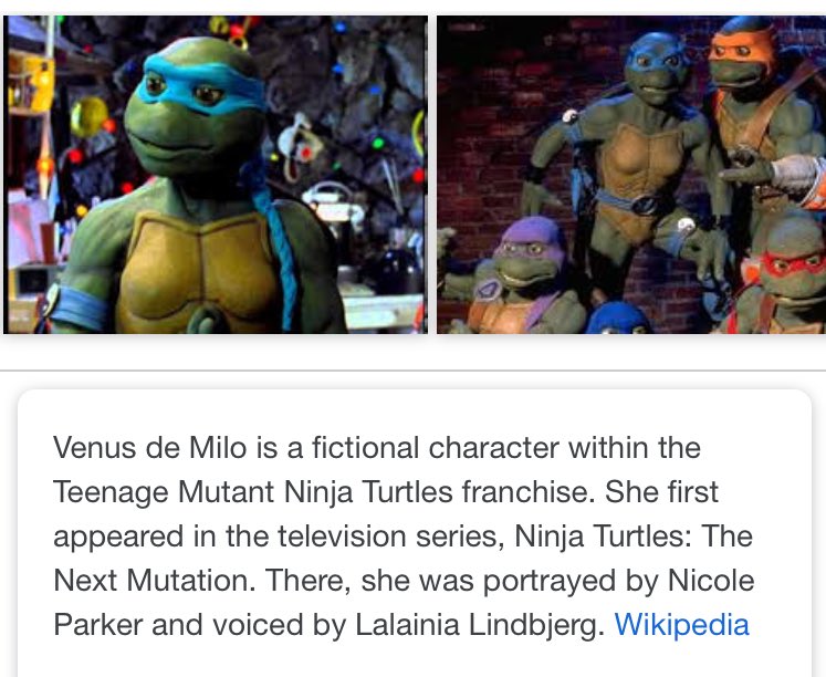 Detail Why Are The Ninja Turtles Named After Artists Nomer 44