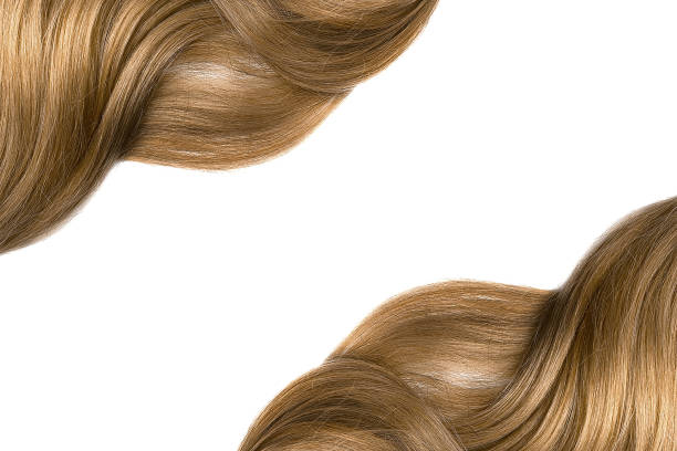 Detail Wig Background Nomer 23