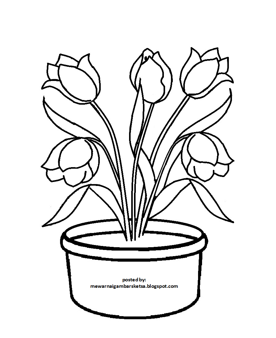 Detail Sketsa Gambar Vas Bunga Dan Bunganya Nomer 4