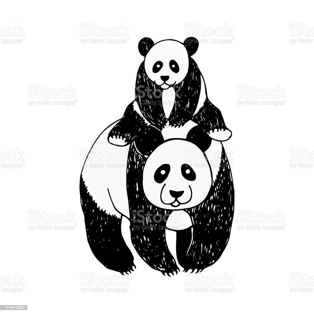 Detail Sketsa Hewan Panda Nomer 22