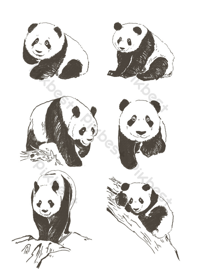 Detail Sketsa Hewan Panda Nomer 55