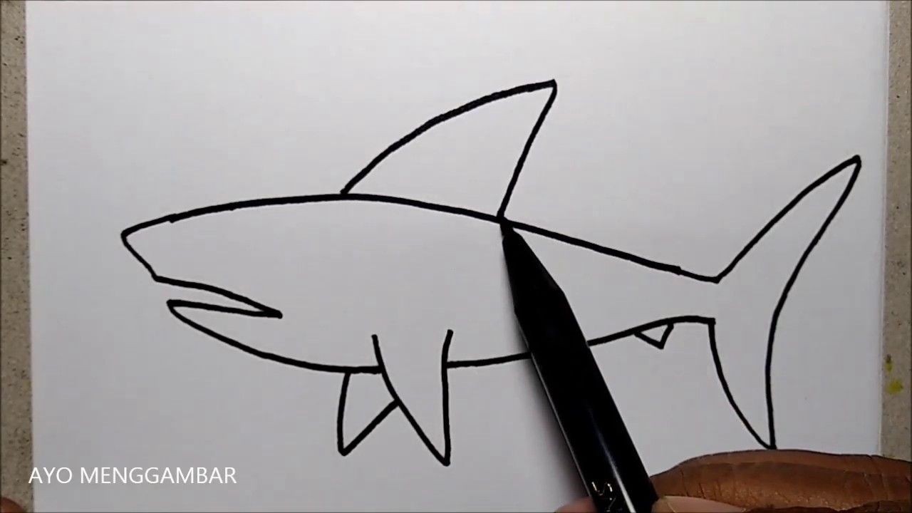 Detail Sketsa Ikan Hiu Nomer 34
