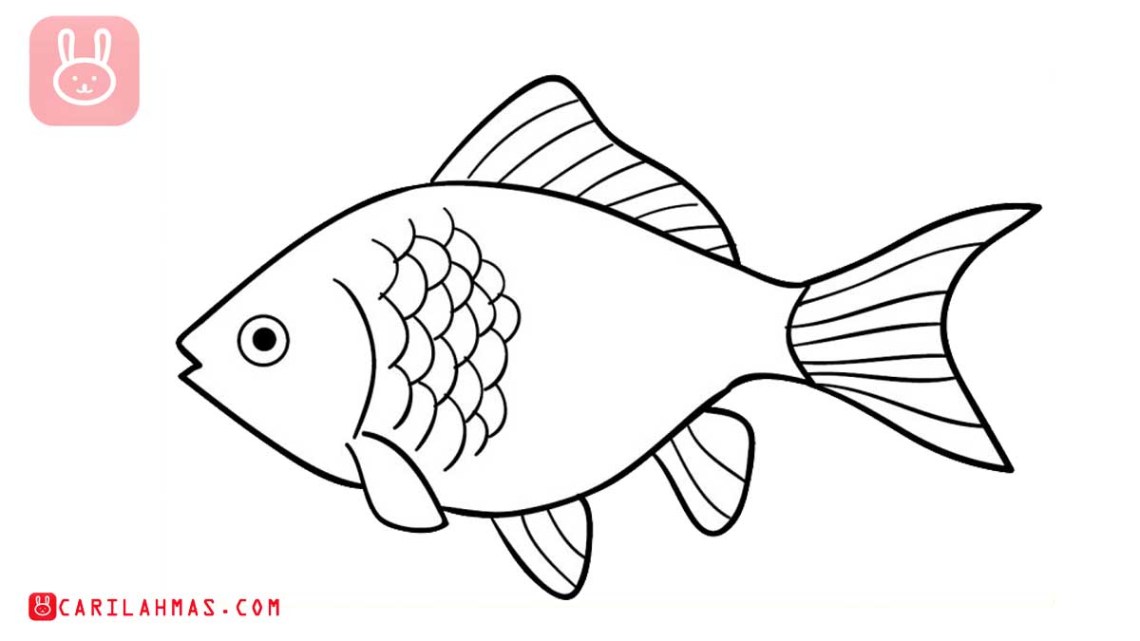 Detail Sketsa Ikan Mas Nomer 10