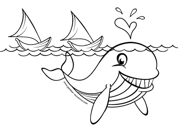 Detail Sketsa Ikan Paus Nomer 15