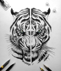 Detail Sketsa Kepala Harimau Nomer 45