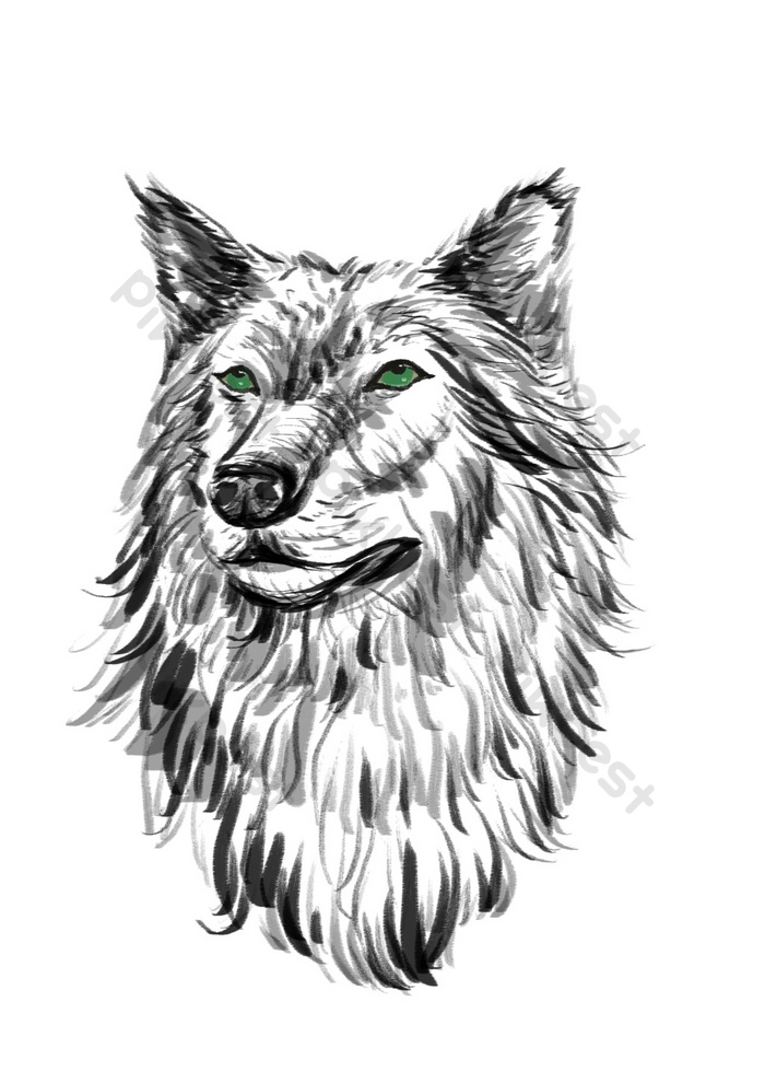 Detail Sketsa Kepala Serigala Nomer 4