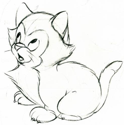 Detail Sketsa Kucing Anggora Nomer 25