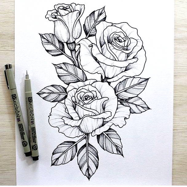 Detail Sketsa Lukisan Bunga Mawar Nomer 19