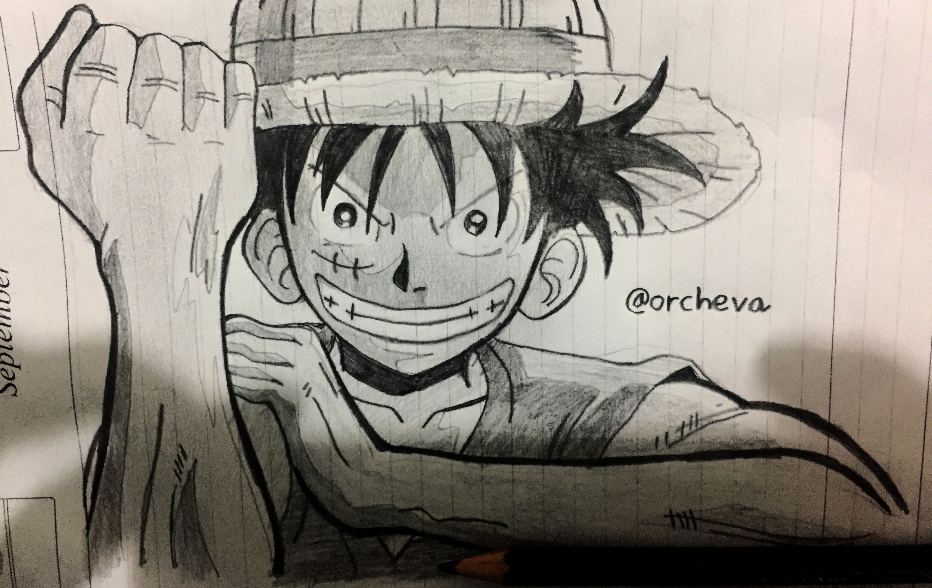 Detail Sketsa Monkey D Luffy Nomer 13