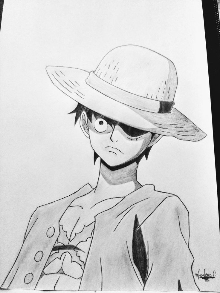 Detail Sketsa Monkey D Luffy Nomer 18