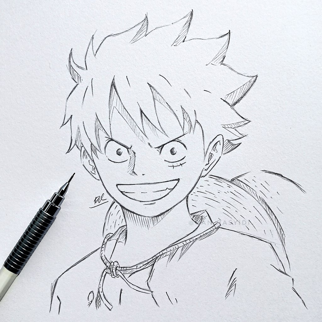 Detail Sketsa Monkey D Luffy Nomer 3