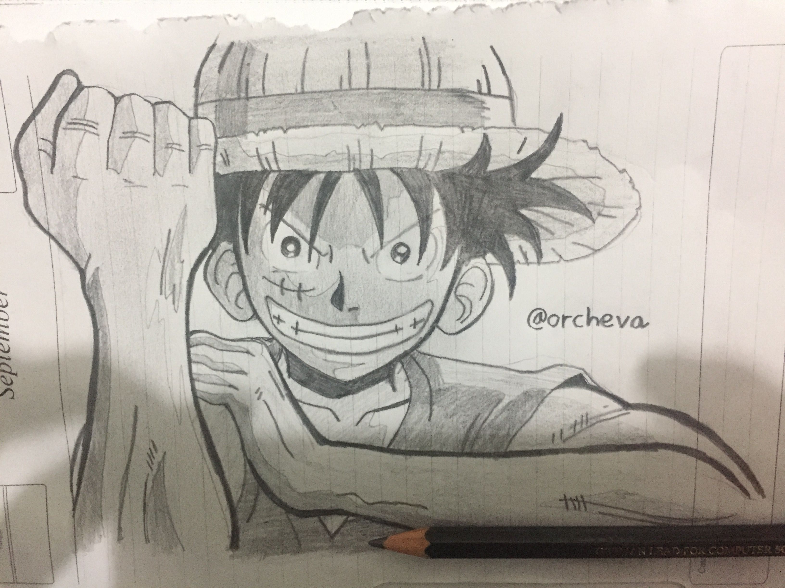 Detail Sketsa Monkey D Luffy Nomer 23