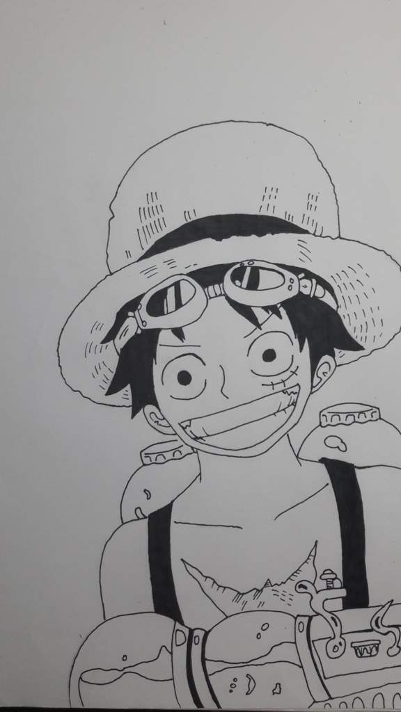 Detail Sketsa Monkey D Luffy Nomer 47