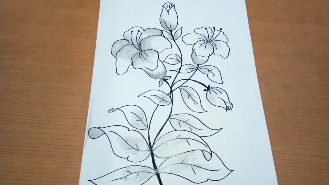 Detail Sketsa Motif Bunga Nomer 6