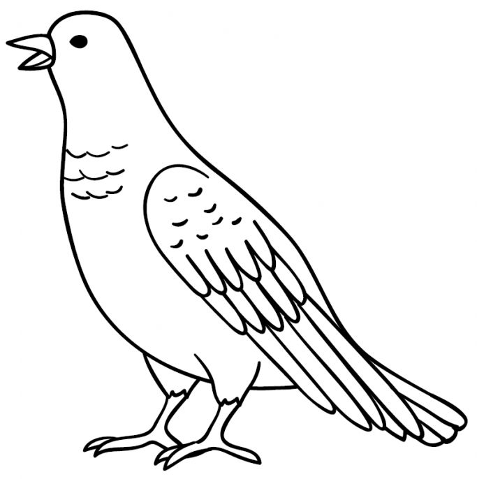 Detail Sketsa Mozaik Gambar Burung Merpati Nomer 13