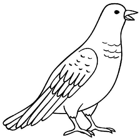 Detail Sketsa Mozaik Gambar Burung Merpati Nomer 22