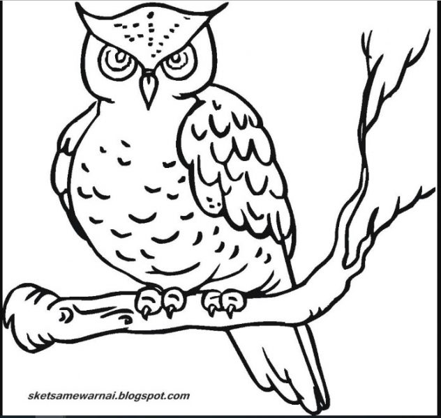 Detail Sketsa Mozaik Gambar Burung Merpati Nomer 32