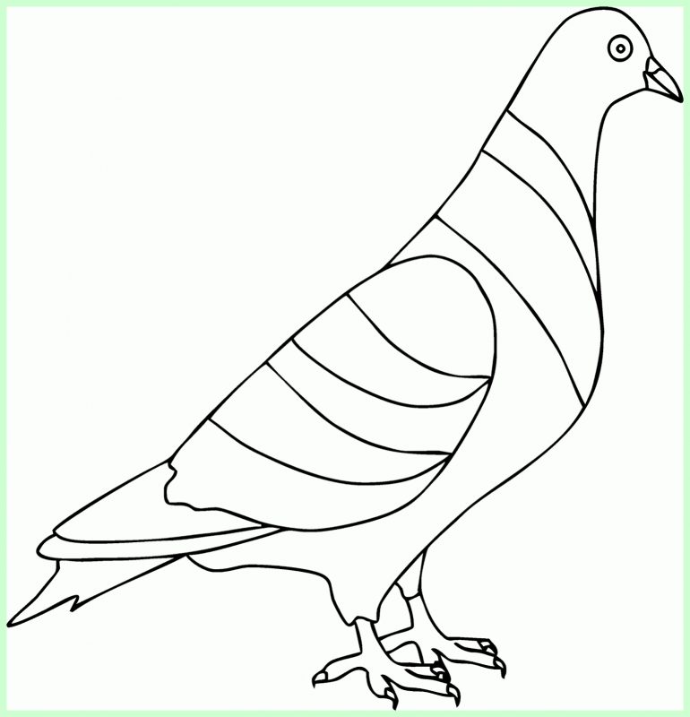 Detail Sketsa Mozaik Gambar Burung Merpati Nomer 7
