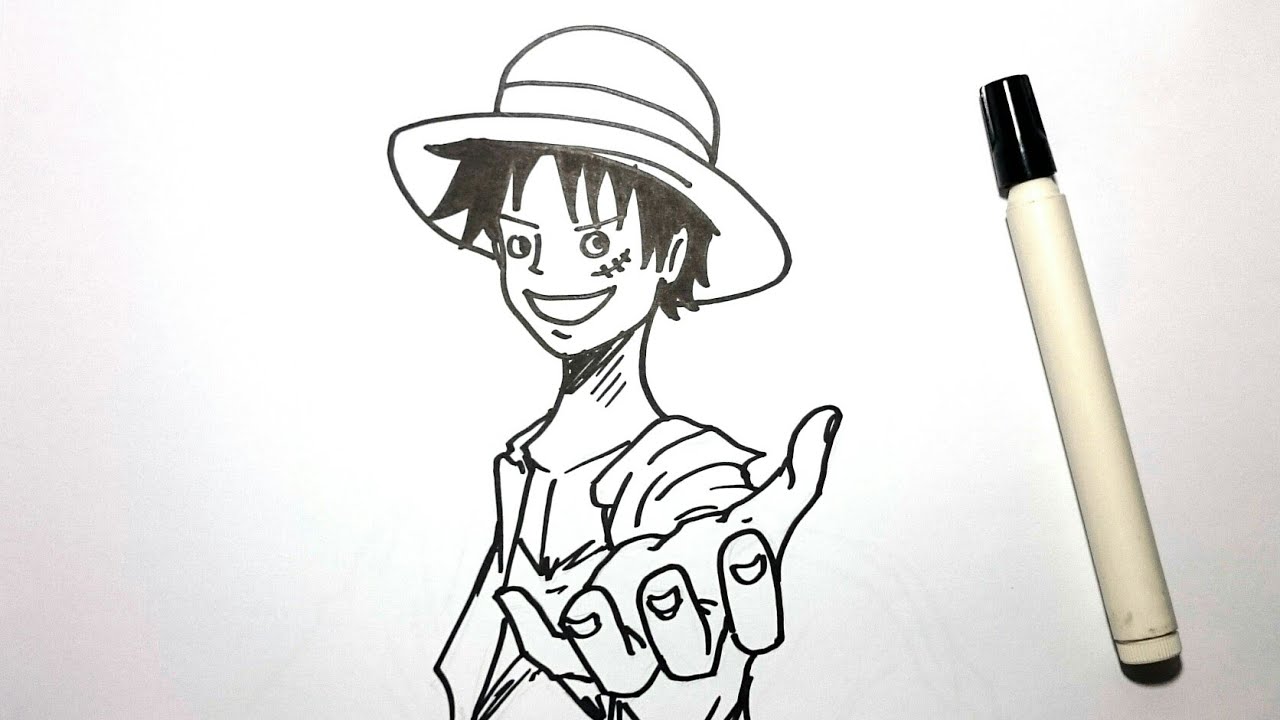 Detail Sketsa One Piece Nomer 20