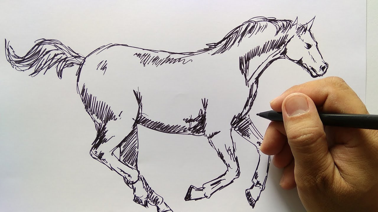Detail Sketsa Patung Kuda Nomer 14