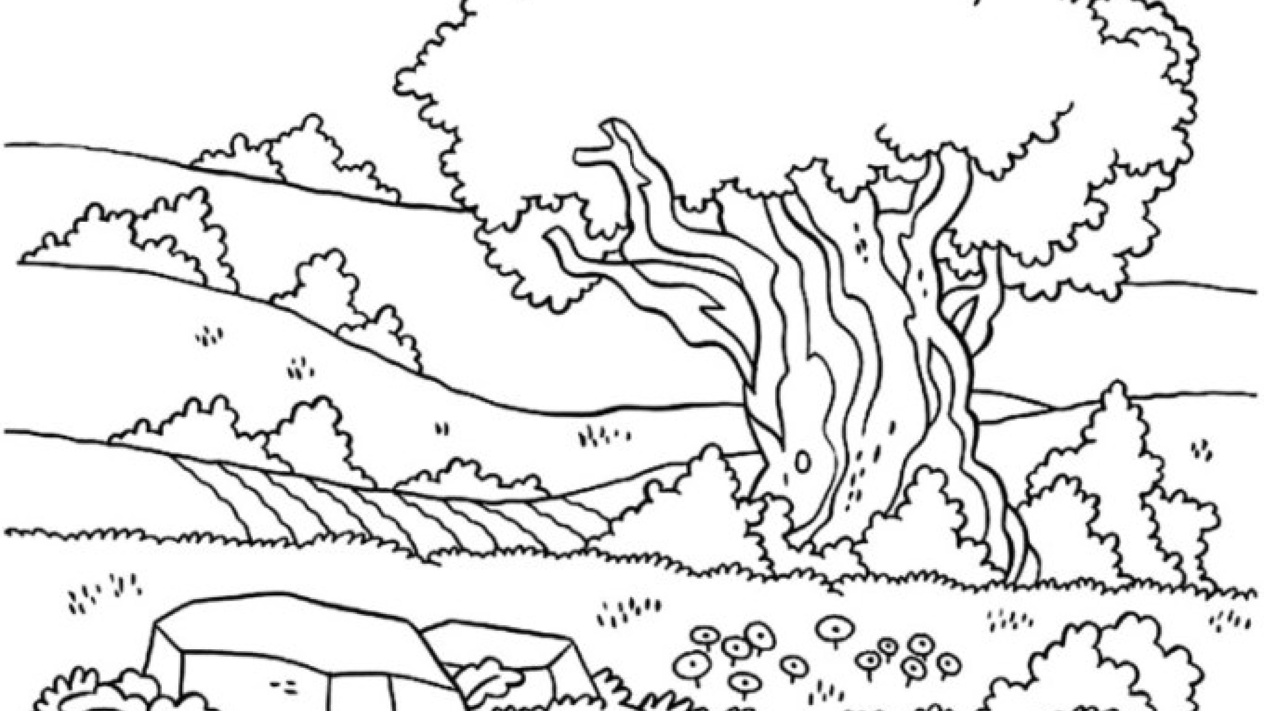 Detail Sketsa Pemandangan Alam Pedesaan Nomer 42