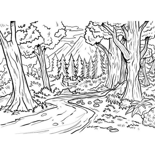 Detail Sketsa Pemandangan Hutan Nomer 23