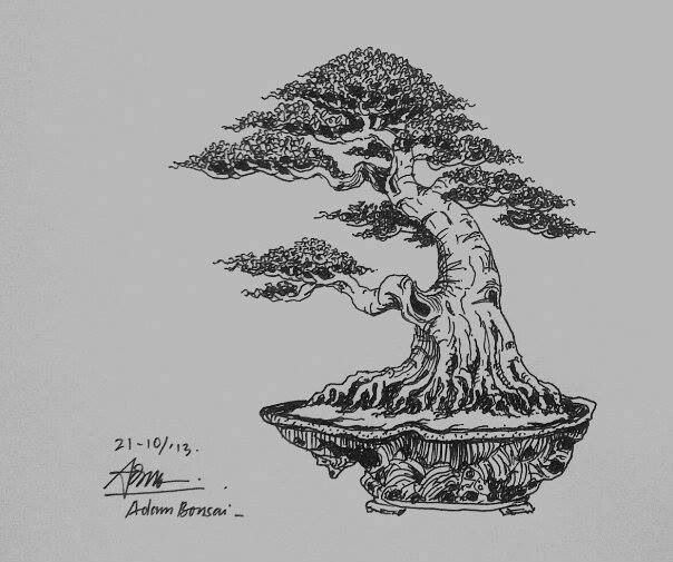 Sketsa Pohon Bonsai - KibrisPDR