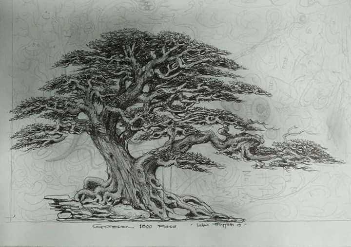 Detail Sketsa Pohon Bonsai Nomer 2