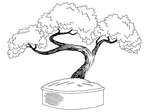 Detail Sketsa Pohon Bonsai Nomer 12