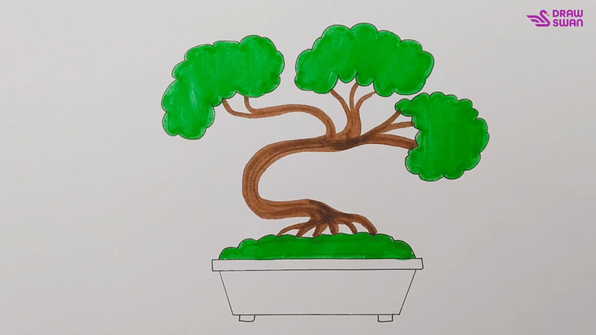 Detail Sketsa Pohon Bonsai Nomer 22