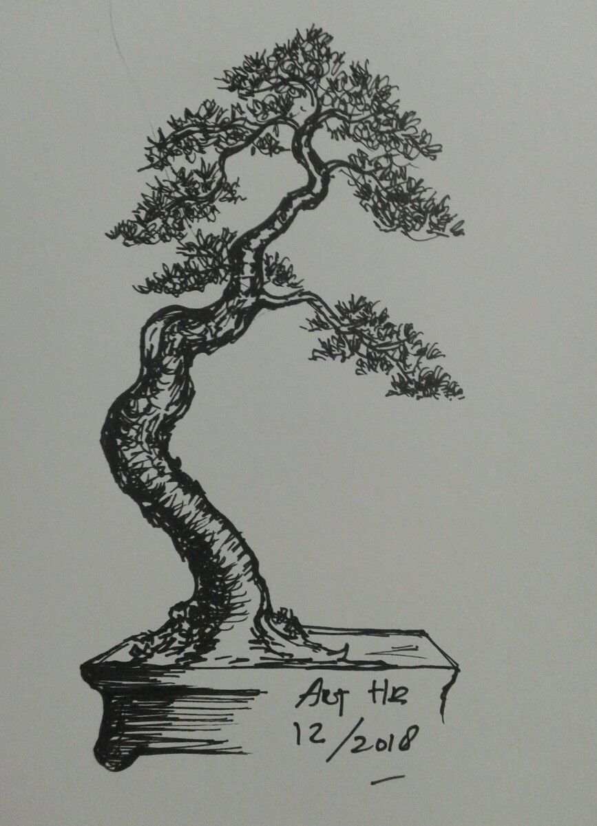 Detail Sketsa Pohon Bonsai Nomer 4