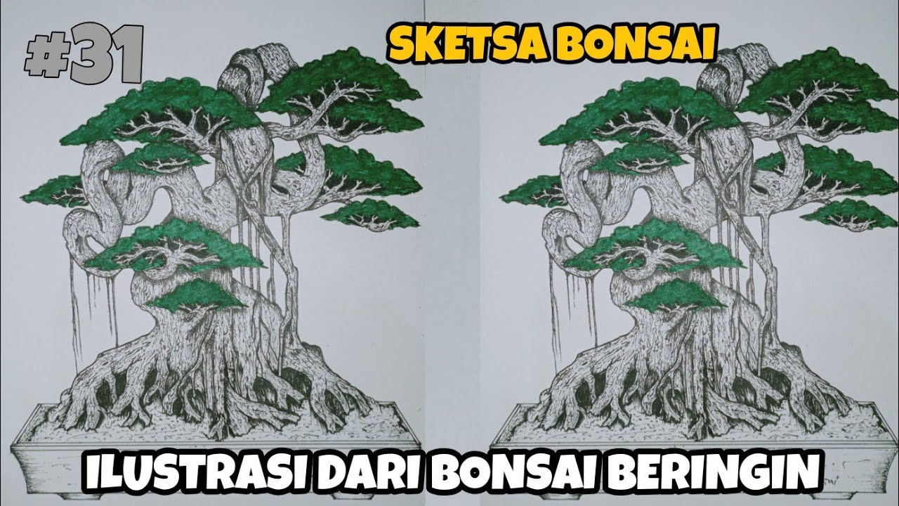 Detail Sketsa Pohon Bonsai Nomer 33