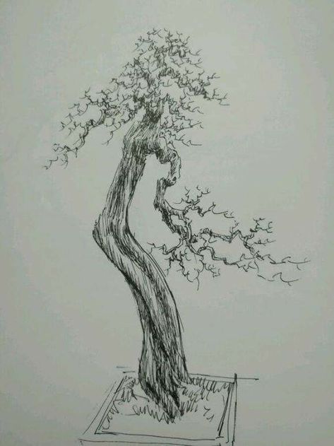 Detail Sketsa Pohon Bonsai Nomer 5