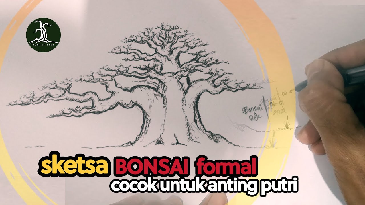 Detail Sketsa Pohon Bonsai Nomer 39