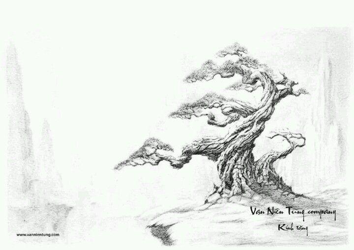 Detail Sketsa Pohon Bonsai Nomer 40