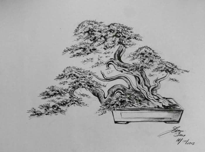 Detail Sketsa Pohon Bonsai Nomer 8