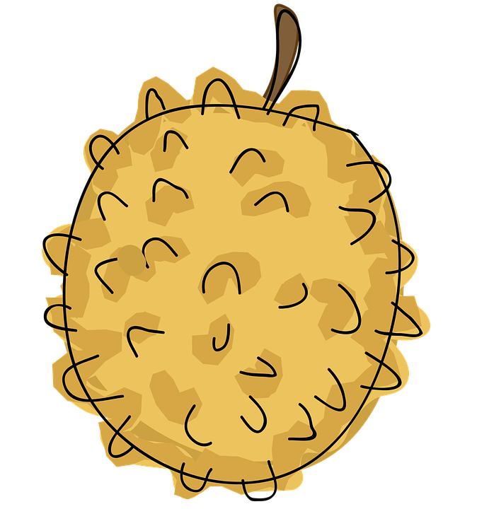 Detail Sketsa Pohon Durian Nomer 26