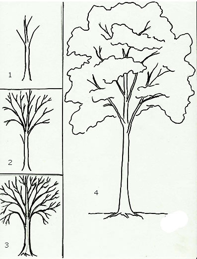 Detail Sketsa Pohon Durian Nomer 6