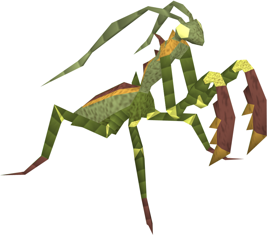 Detail Wikipedia Praying Mantis Nomer 21