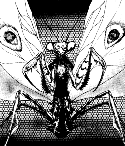 Detail Wikipedia Praying Mantis Nomer 28