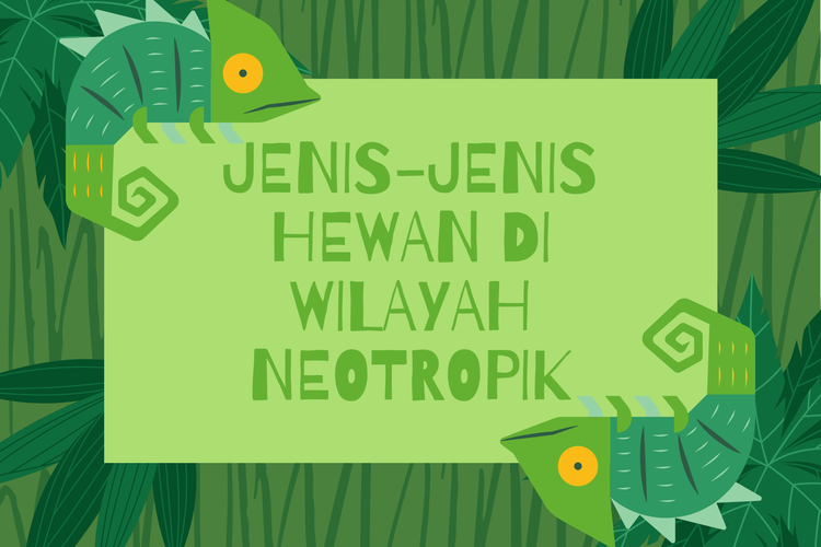 Detail Wilayah Fauna Neotropik Nomer 31